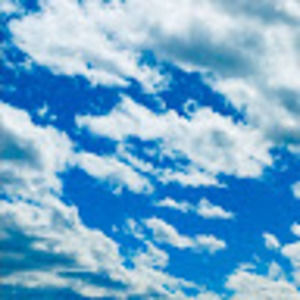 Meet your Posher, Autumn